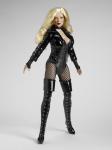 Tonner - DC Stars Collection - BLACK CANARY DELUXE - Doll (Comic Con International San Diego)
